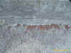 asfalto.jpg (455393 byte)