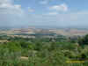 campagna senese2.jpg (227625 byte)
