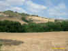 campagna senese3.jpg (229237 byte)