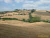 campagna senese4.jpg (190354 byte)