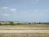 campagna senese.jpg (130008 byte)