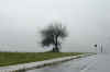 nebbia.jpg (79400 byte)