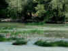 papere sul tevere 4 d1.JPG (382542 byte)