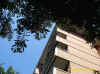 struttura.jpg (299200 byte)