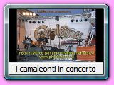 i camaleonti in concerto